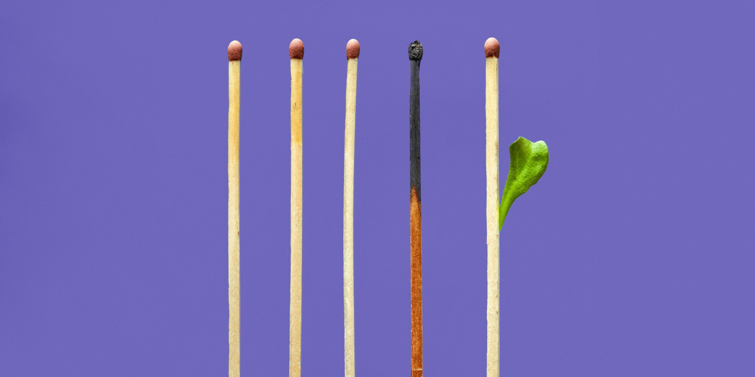 tangerine newt o04xdvwe33u unsplash tangerine newt o04xdvwe33u unsplash