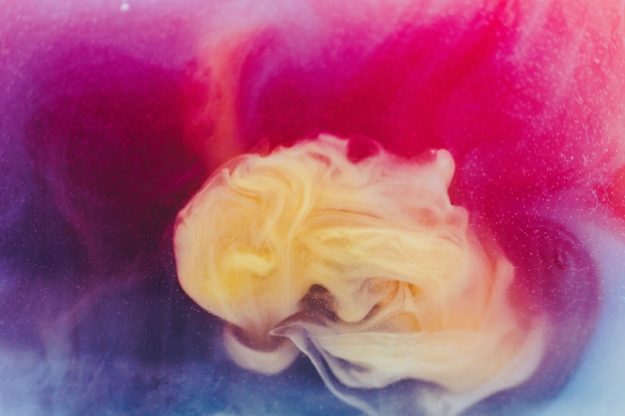 Figure a colori: i compagni di viaggio ideali. Scopriamo chi sono ruvim-noga-unsplash