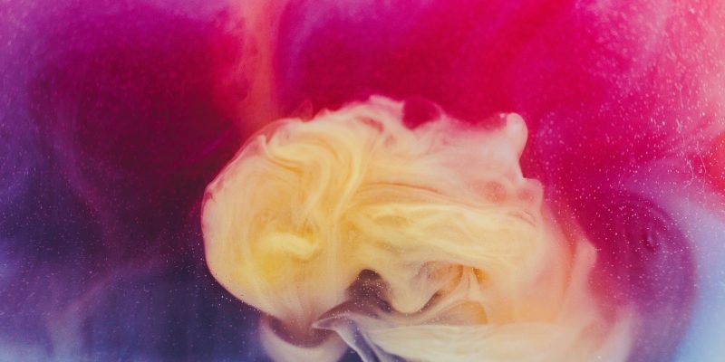 Figure a colori: i compagni di viaggio ideali. Scopriamo chi sono ruvim-noga-unsplash