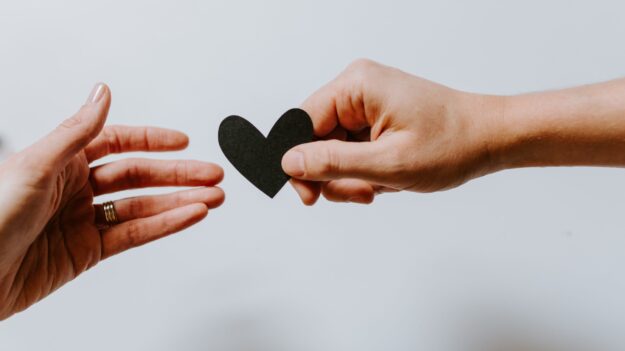 kelly sikkema xx2wtblr3r8 unsplash kelly sikkema xx2wtblr3r8 unsplash