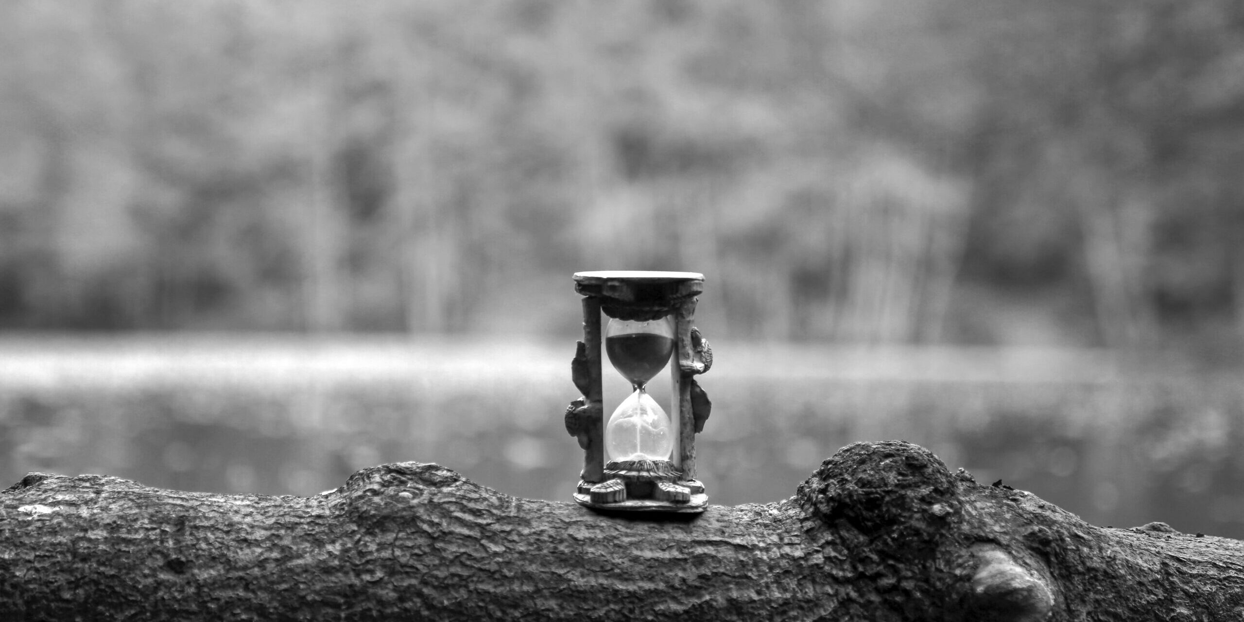 sahin sezer dincer yhoqj eui50 unsplash sahin sezer dincer yhoqj eui50 unsplash