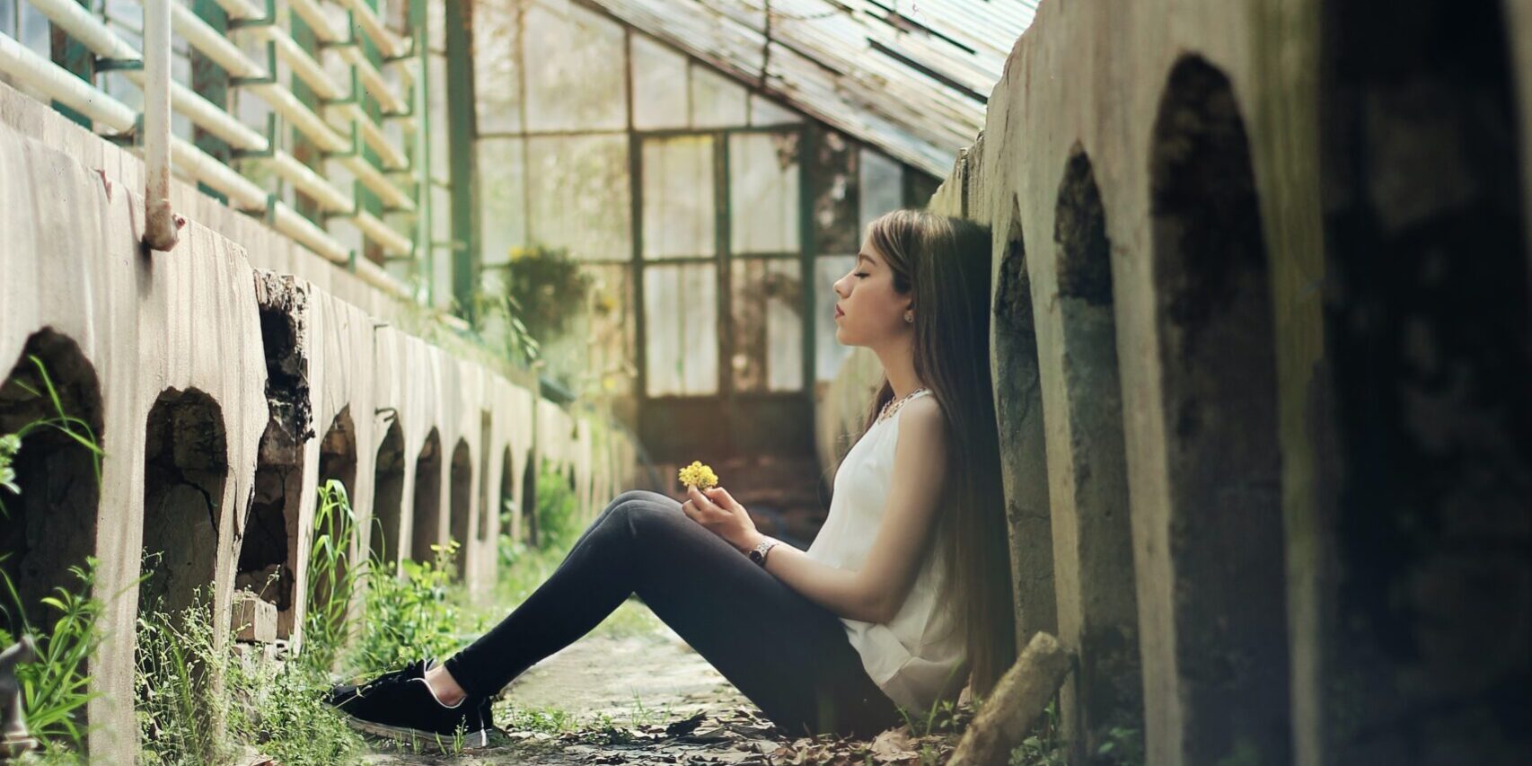 zohre nemati wqntkwr1fme unsplash zohre nemati wqntkwr1fme unsplash