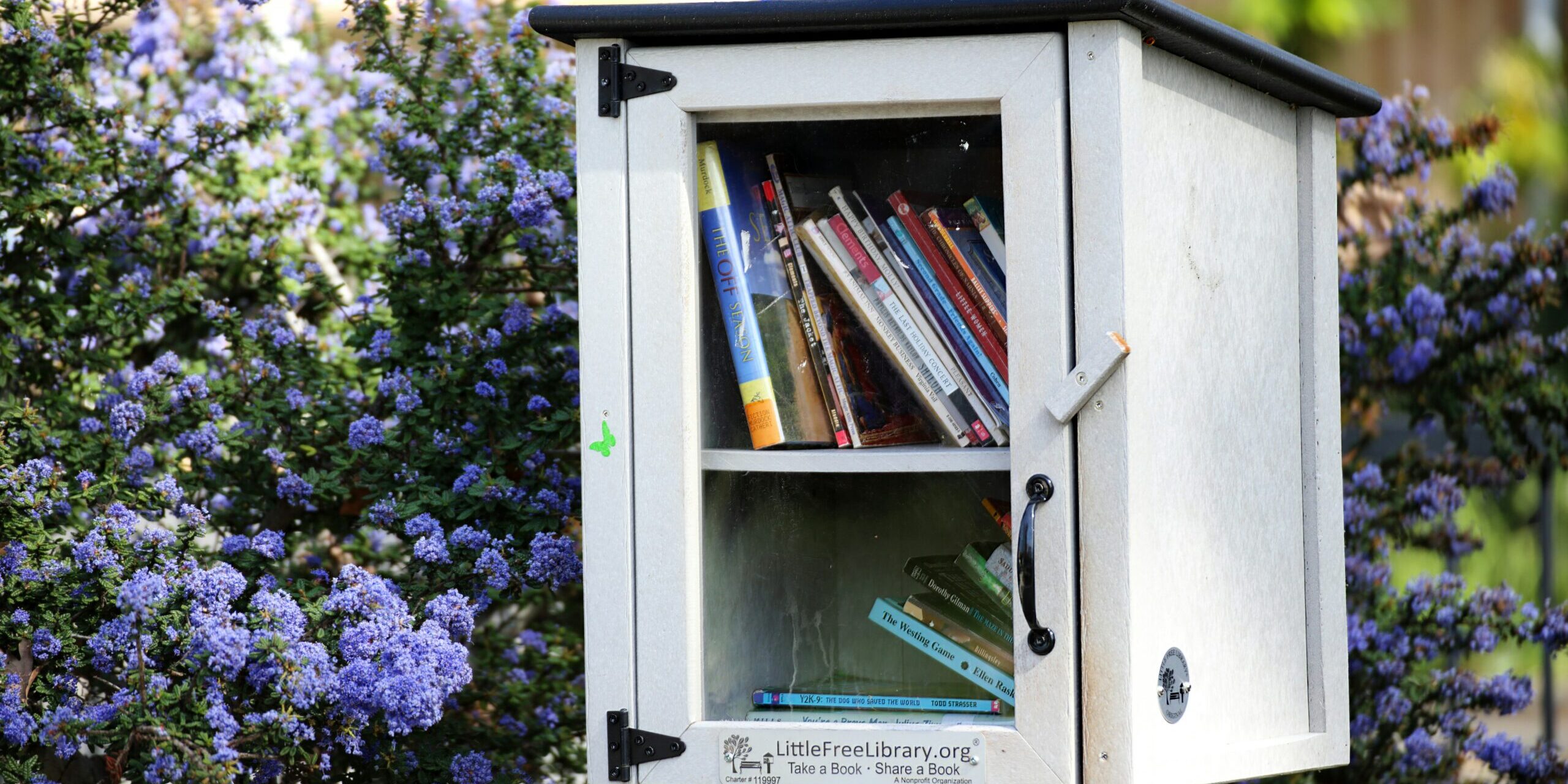 simon hurry 4ip8v26huu0 unsplash