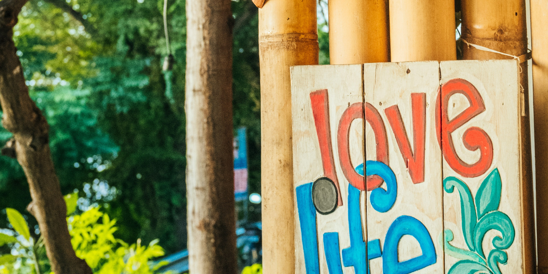 progetto senza titolo 2 progetto senza titolo 2