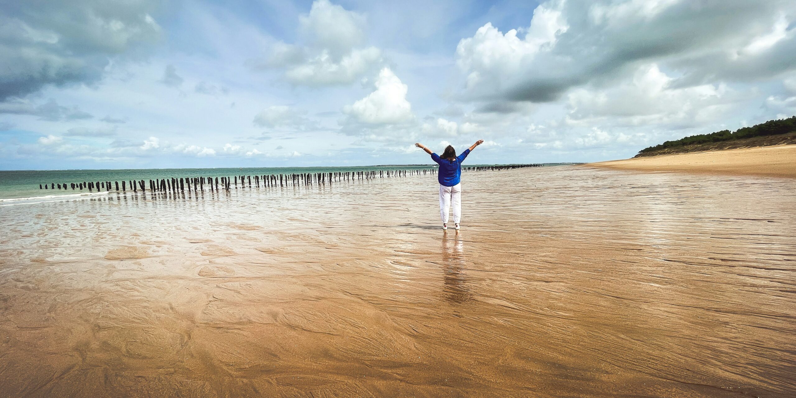jametlene reskp za9uvsdrhbq unsplash jametlene reskp za9uvsdrhbq unsplash